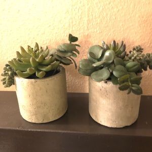 Faux succulents